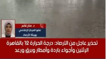 حالة الطقس في القاهرة: أجواء باردة مع أمطار وبرق بدرجة 12.. فيديو